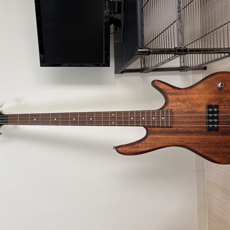Ibanez GSR100EX-MOLの画像